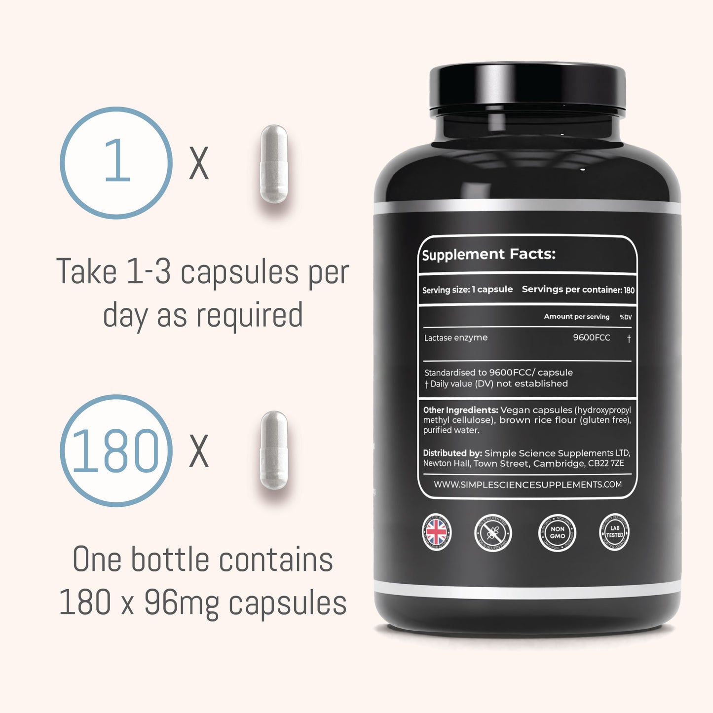 Lactase Enzyme 9600FCC